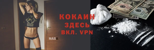 сатива Лабытнанги