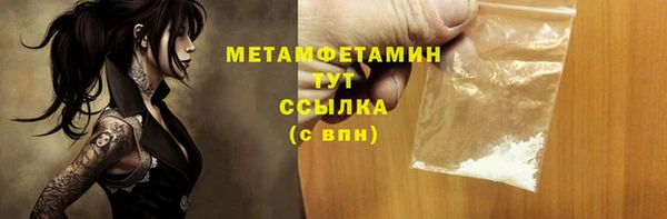 сатива Лабытнанги