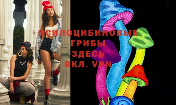 сатива Лабытнанги