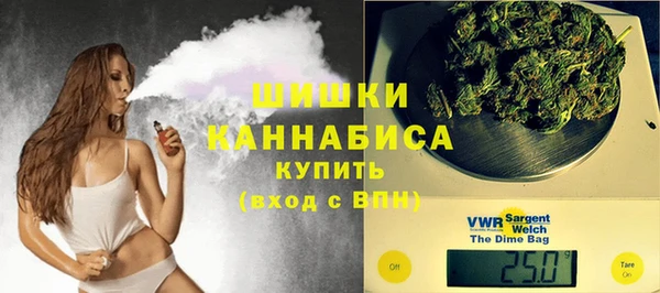 сатива Лабытнанги