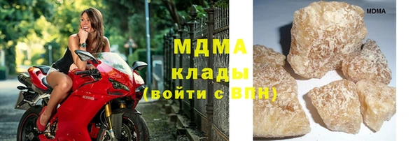 сатива Лабытнанги